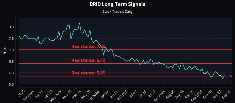 BRID Long Term Analysis for September 25 2026 BRID Long Term Analysis for September 25 2026