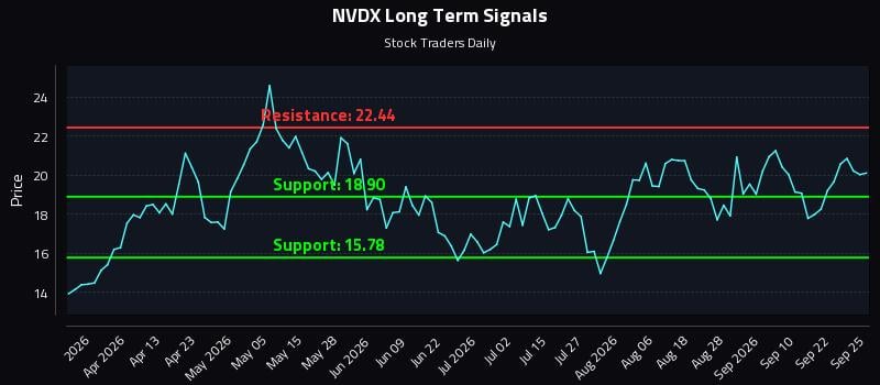 NVDX Long Term Analysis for September 26 2026 NVDX Long Term Analysis for September 26 2026