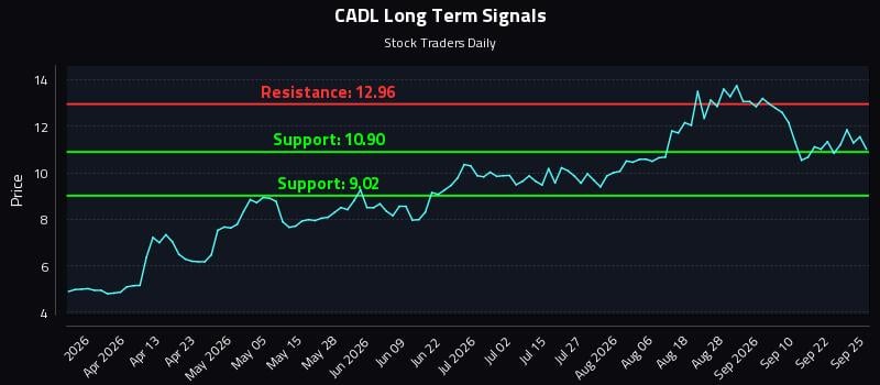 Understanding Momentum Shifts in (CADL)
